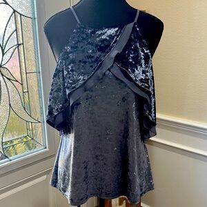 White House Black Market BlueVelvet Camisole